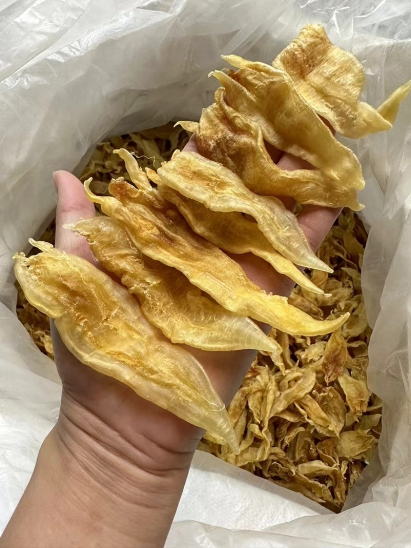 110头北海胶