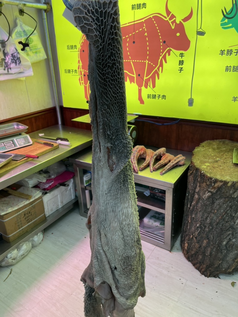 清真牦牛牛大肚屠宰场一手货干净无油，屠宰场货源，手续齐全
