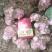 河南精品洋姜品质菊芋量大质优一手货源菊芋价格优惠
