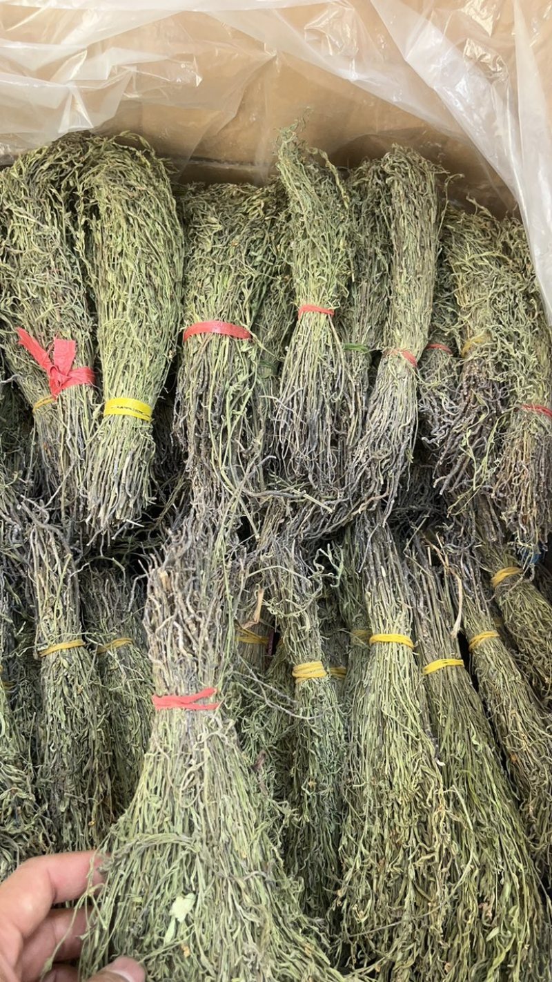 广东正宗独脚草独脚金自然晒干脱硫小捆量大常年有货全国能发物流