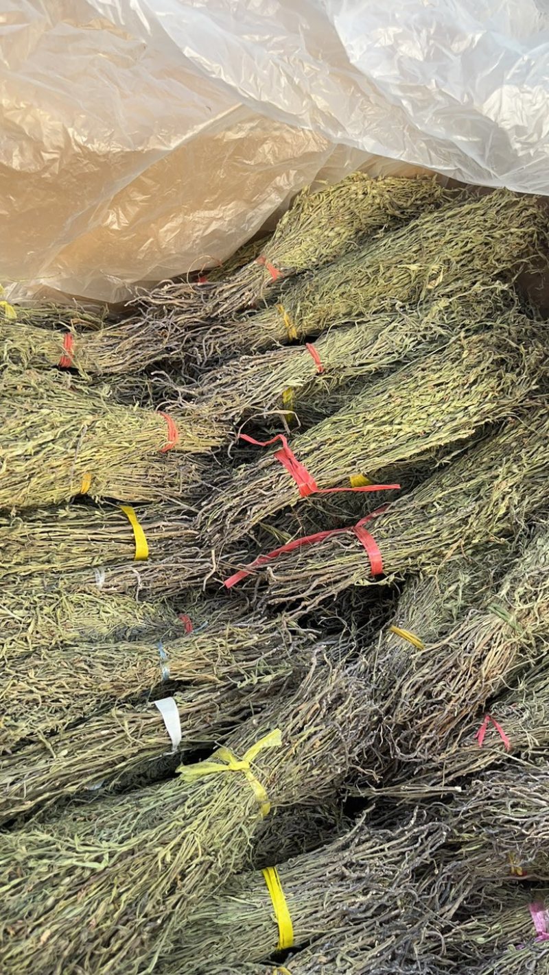 广东正宗独脚草独脚金自然晒干脱硫小捆量大常年有货全国能发物流