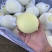 大批量映霜红冬桃大量上市