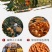 柿饼一件代发柿饼电商代发柿饼独立包装一件代发