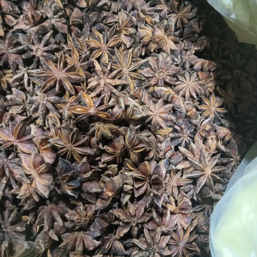 云南文山干枝八角大量供货质量保证欢迎来电咨询