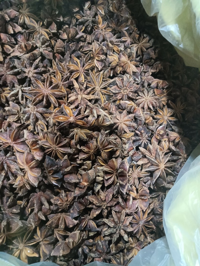 云南文山干枝八角大量供货质量保证欢迎来电咨询