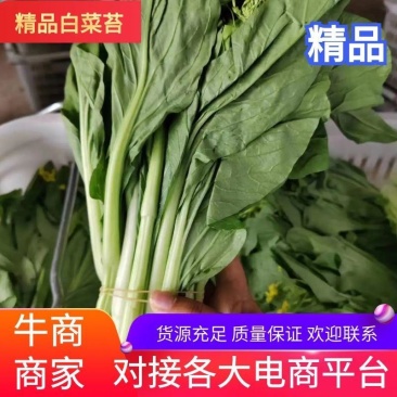 白菜苔，湖北白菜苔，湘妹子白菜苔