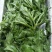 【精品】水晶冰草冰菜箱装打包发货现摘现卖山东一条龙