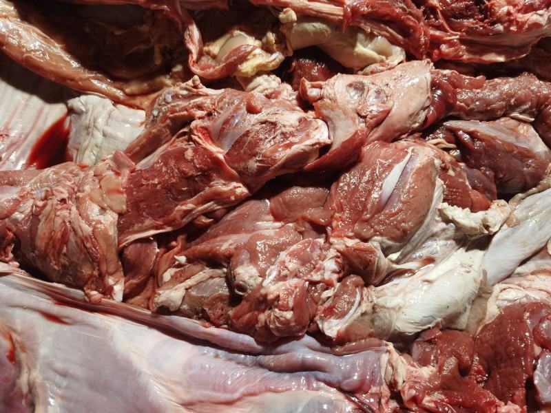 羊净肉纯干不调理羊板肉羔羊品质好