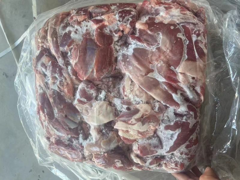 羊净肉纯干不调理羊板肉羔羊品质好