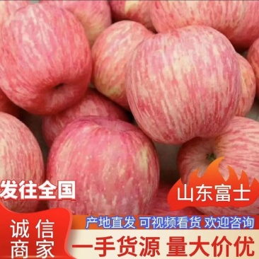 苹果产地一手货源质量保证，物流全国，价格便宜