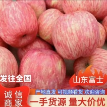山东红富士苹果，价格便宜，一手货源欢迎来电咨询