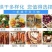 生物质颗粒烘干机羊肚菌烘干机香菇烘干机药材烘干机