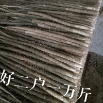 蒋姐小白嘴山药产地直发大量工供应欢迎量大从优全国发货