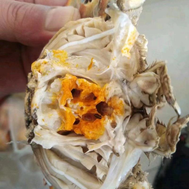 湖北省洪湖精品清水河蟹精品礼盒装公母搭配物美价廉
