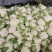 浙江温州菜花松花菜有机花菜质量好价格低随行就市