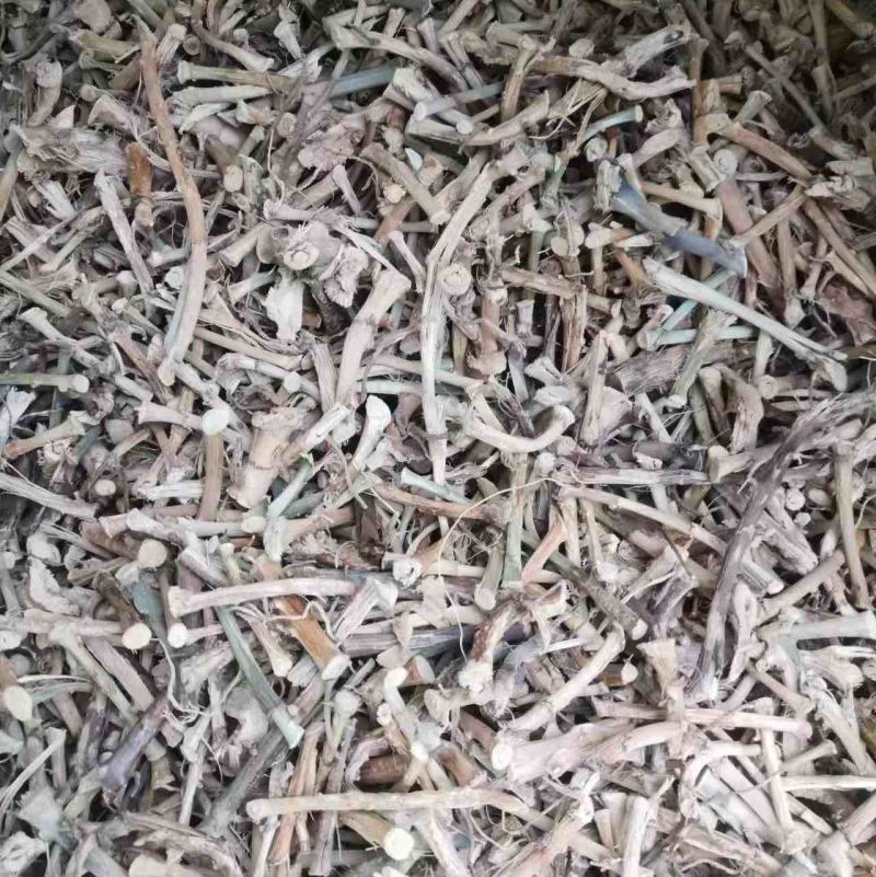 云南文山干砂仁根对接药材店加工厂量大发货价格合理