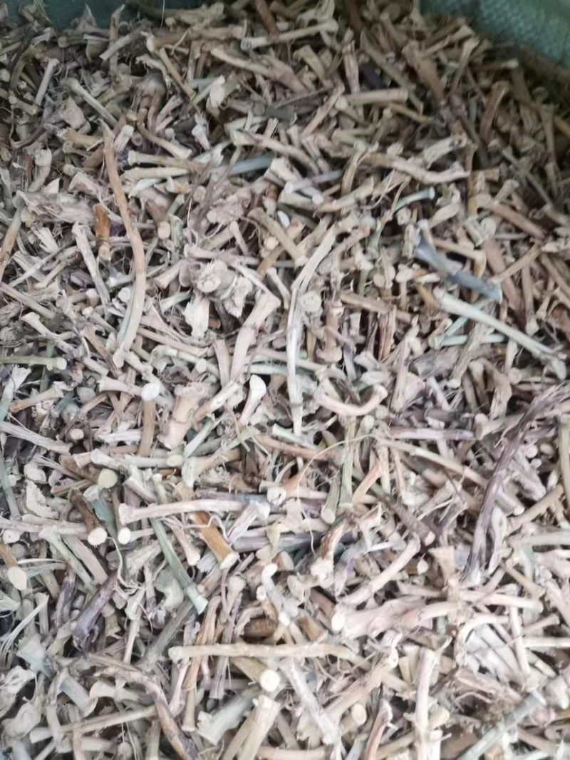 云南文山干砂仁根对接药材店加工厂量大发货价格合理