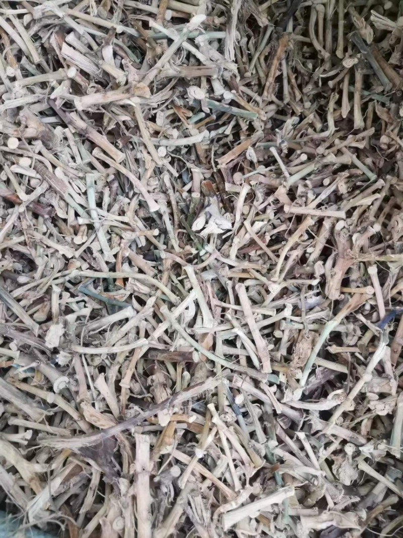 云南文山干砂仁根对接药材店加工厂量大发货价格合理
