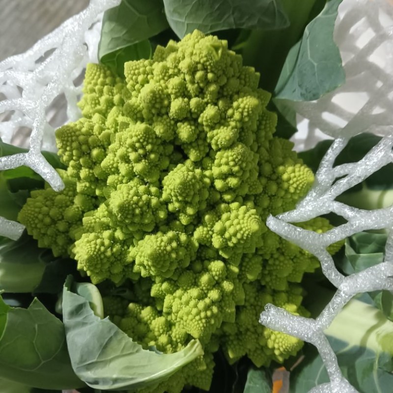【精品】宝塔花菜高品质优质特菜山东淄博产品直发有需致电
