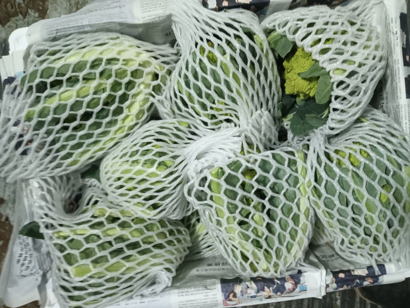 【精品】宝塔花菜高品质优质特菜山东淄博产品直发有需致电