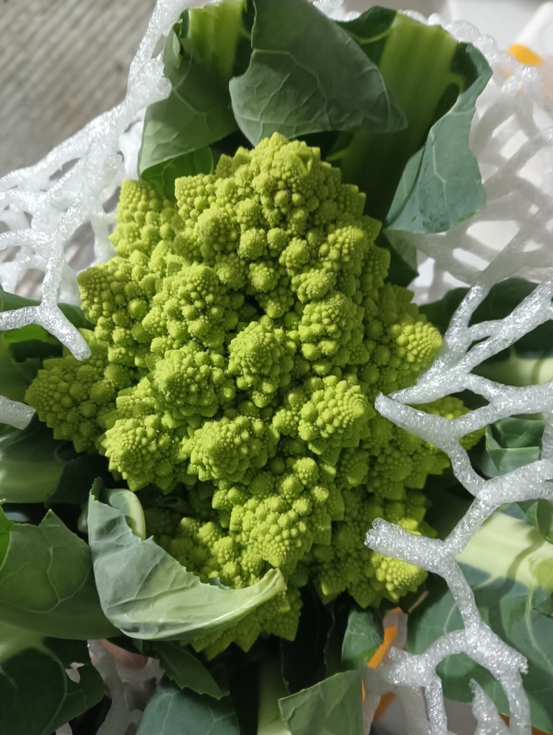 【精品】宝塔花菜高品质优质特菜山东淄博产品直发有需致电