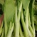 白菜苔，湖北白菜苔，湘妹子白菜苔