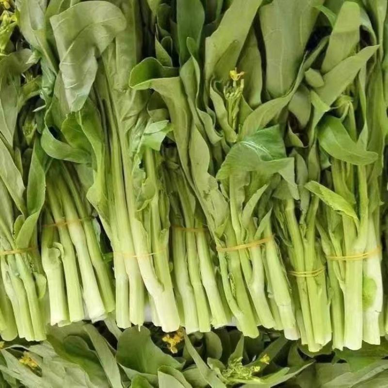 白菜苔，湖北白菜苔，湘妹子白菜苔