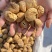 新疆特级无花果干嘎嘎便宜