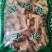 南瓜蒂干货南瓜蒂中药材欢迎选购！量大从优！