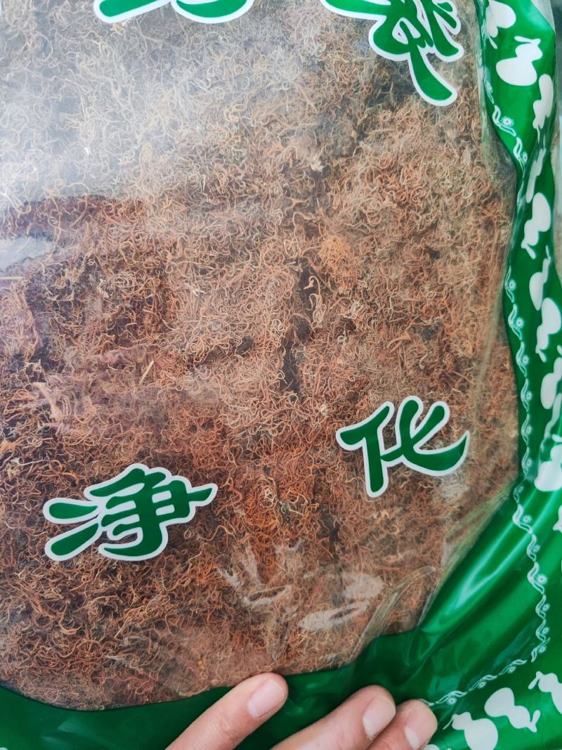 红雪茶干货红雪茶丝中药材冷背中药材专营量大从优