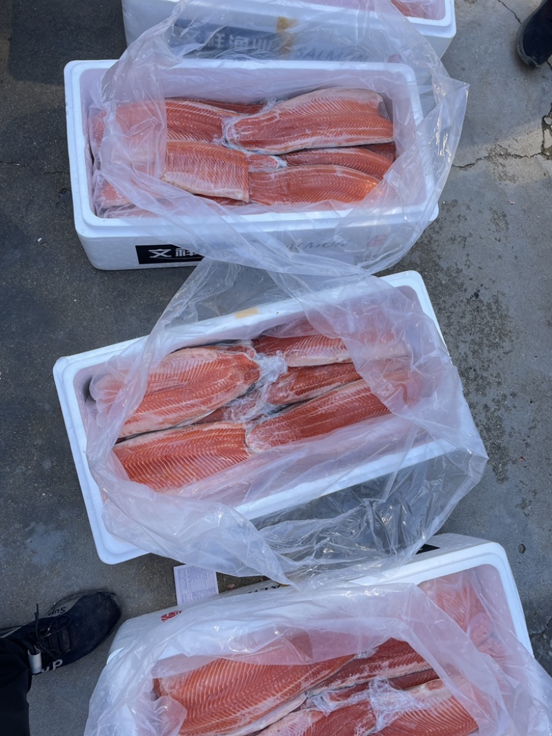 三文鱼刺身新鲜三文鱼中段生鱼片刺身日料寿司