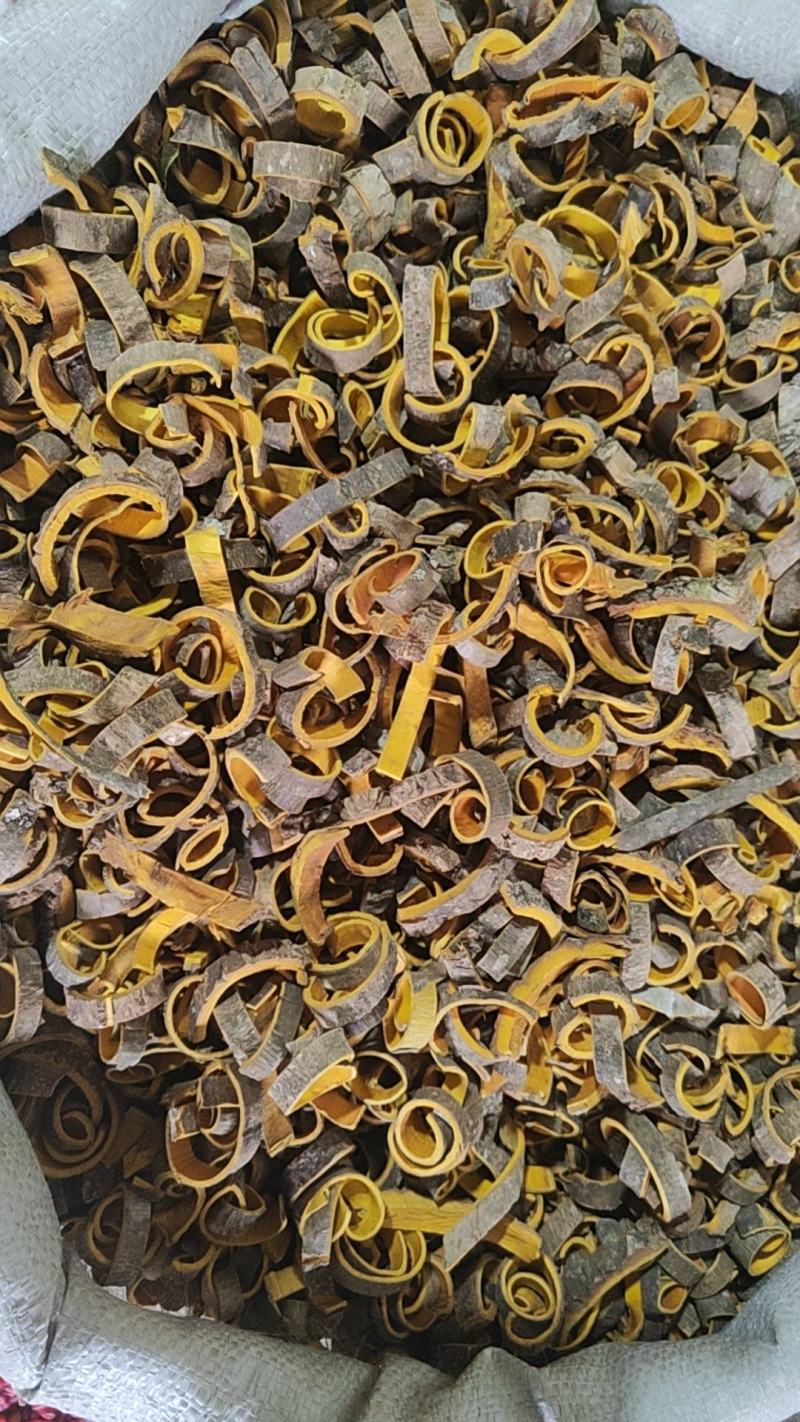 黄柏带皮干货黄柏川黄柏干货量大从优