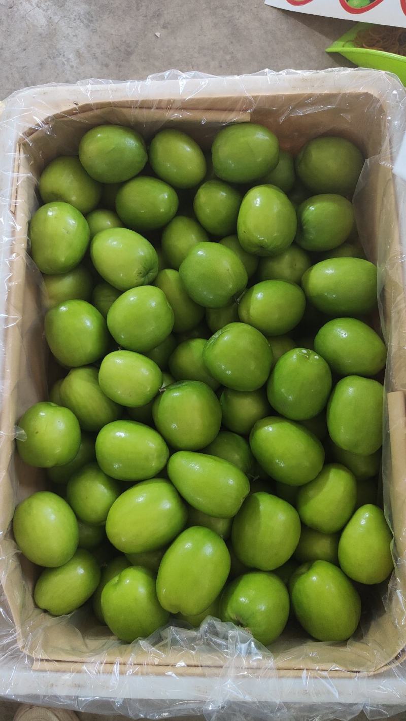云南大青枣好吃又甜