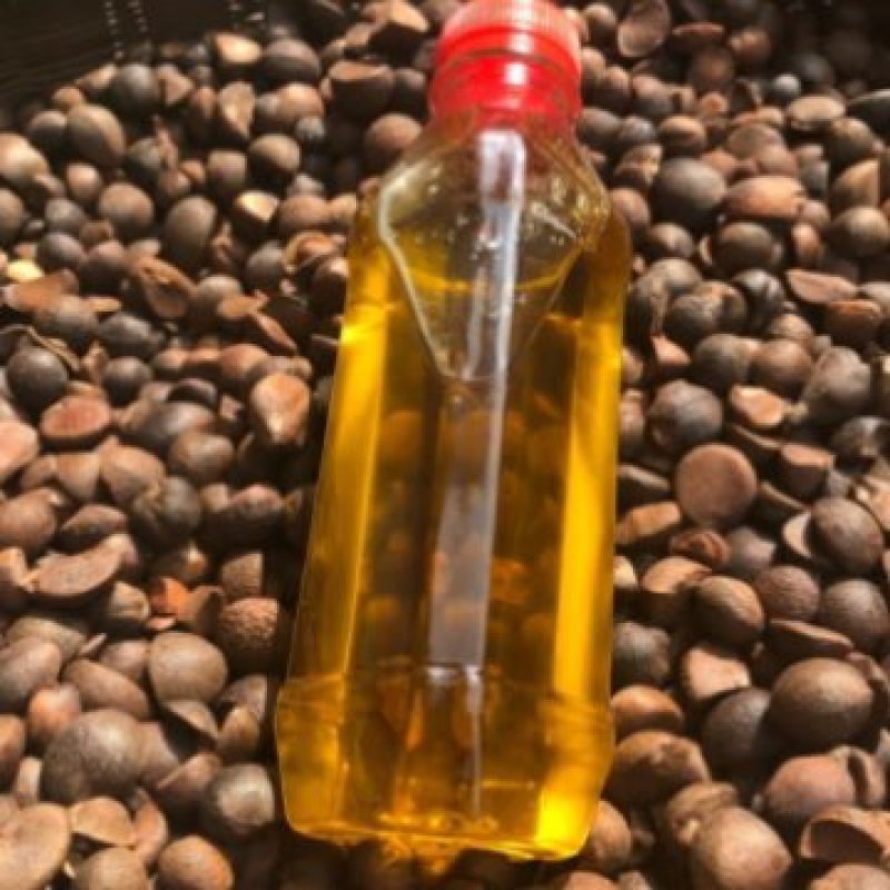 广西巴马山区农家自榨山茶油产地代收代发质量保证价格实惠