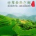 广西巴马山区农家自榨山茶油产地代收代发质量保证价格实惠