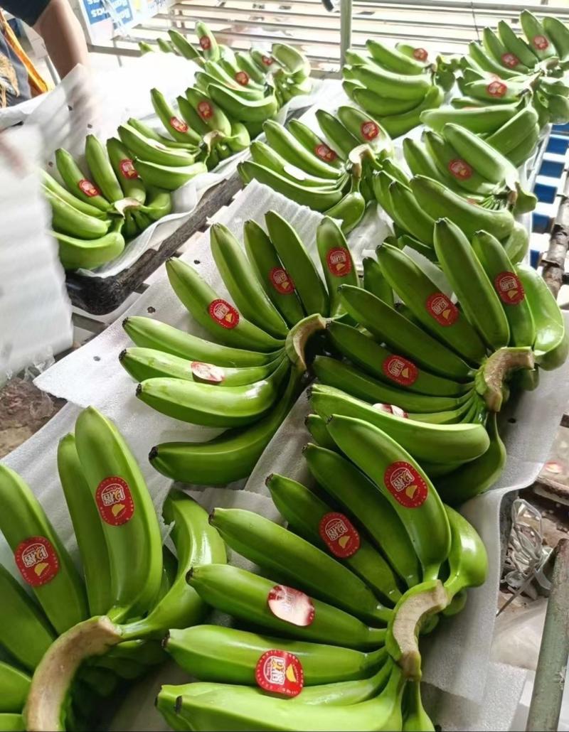 主要经营；特价菲律宾精品二黄蕉，净重27斤，保质保量。
