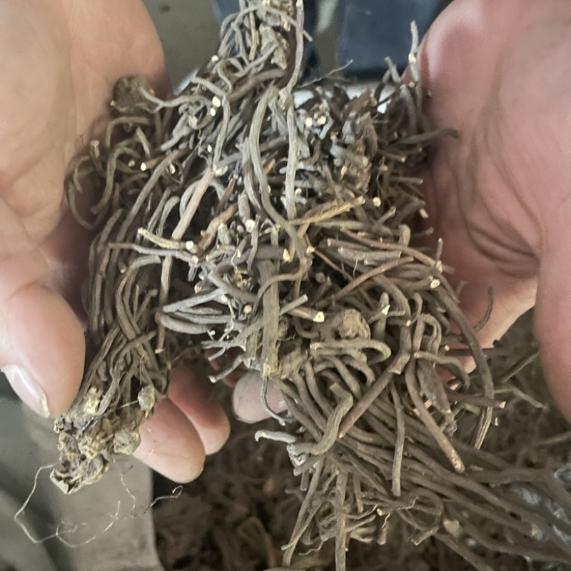 药材桃儿七鬼臼桃耳七产地直销1kg包邮