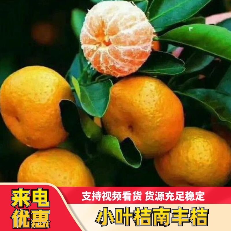南丰桔产地货源充足，果面干净个头均匀口感好品质好价格优