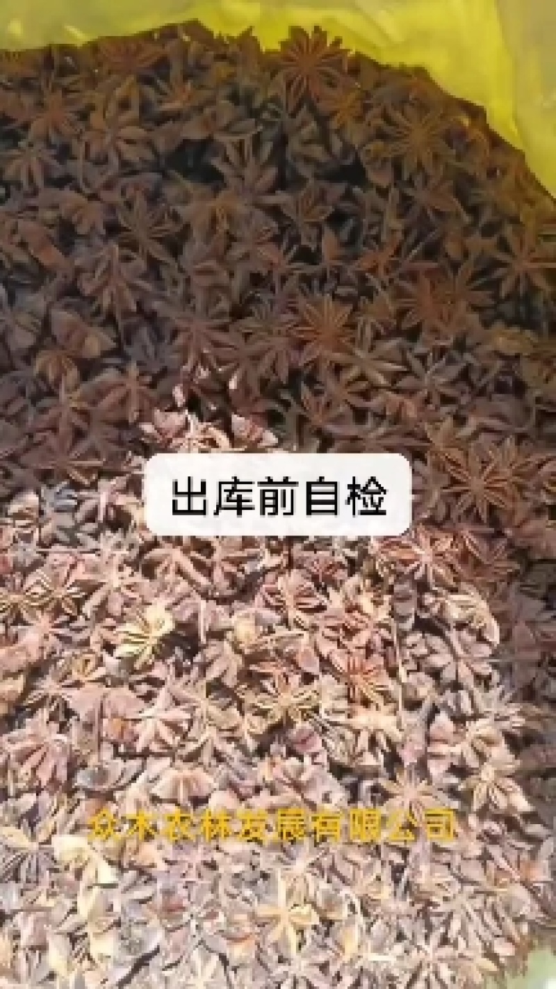 云南精品大红八角无硫磺质量保证正品欢迎来电咨询