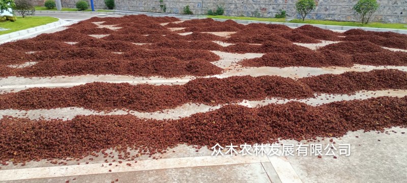 云南精品大红八角无硫磺质量保证正品欢迎来电咨询