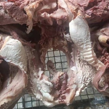 [年货大卖]去皮牛头肉，要想卖的好就选牛头肉