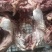 [年货大卖]去皮牛头肉，要想卖的好就选牛头肉