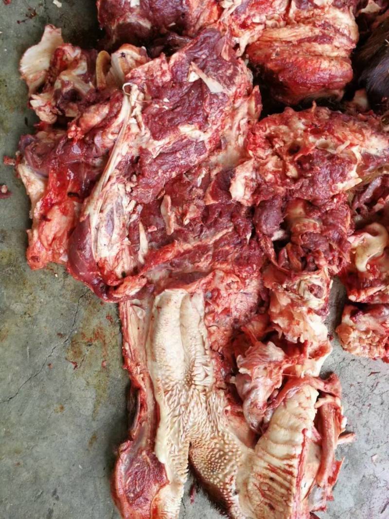 [年货大卖]去皮牛头肉，要想卖的好就选牛头肉
