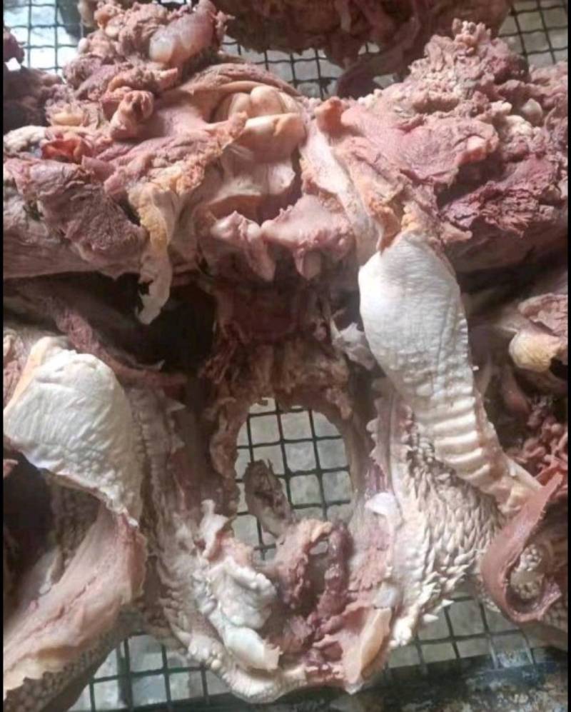 [年货大卖]去皮牛头肉，要想卖的好就选牛头肉