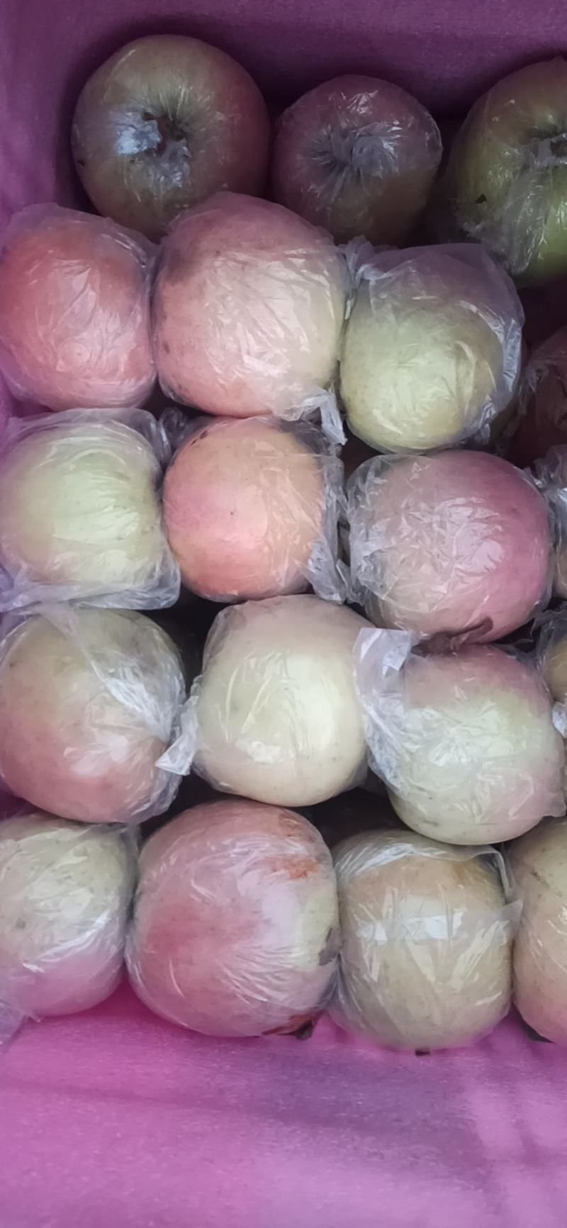 江苏丰县大沙河红富士大量上市