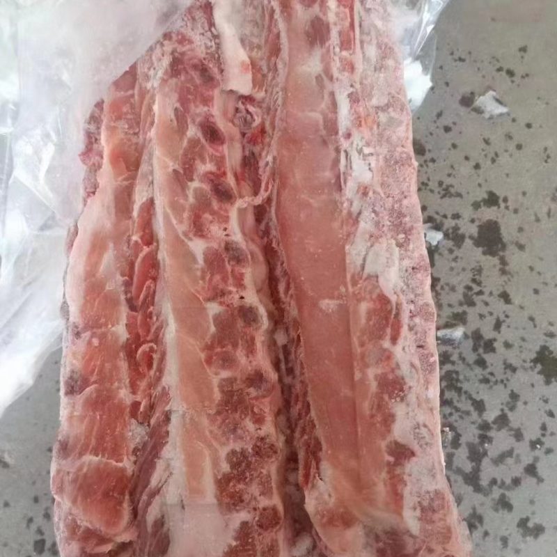 加拿大多肉龙骨