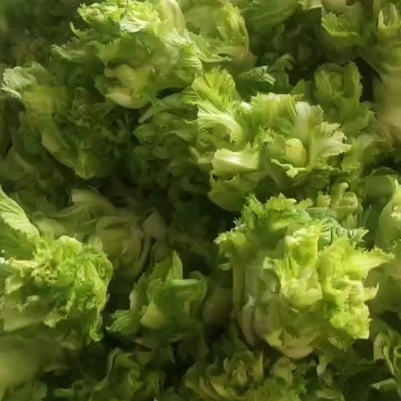儿菜，万亩产地，大量现货供应，持续接单，需要老板