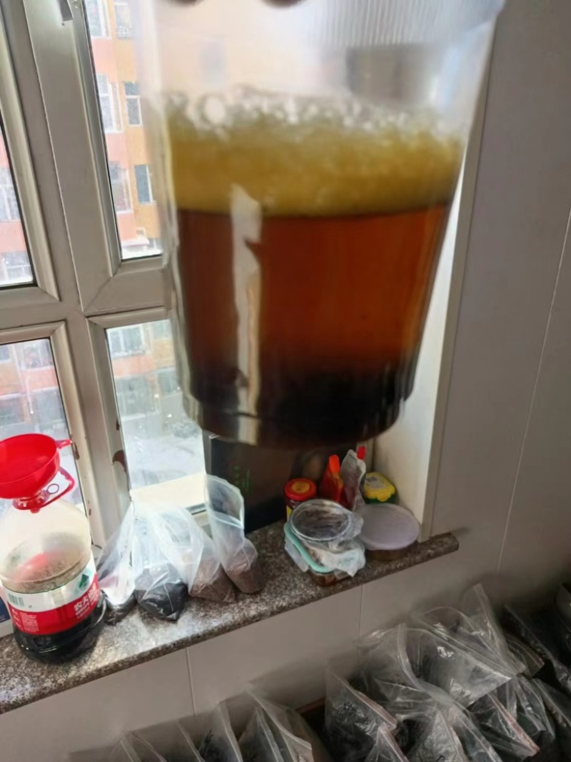 油菜籽新到进口油菜籽出油高油色好介酸高