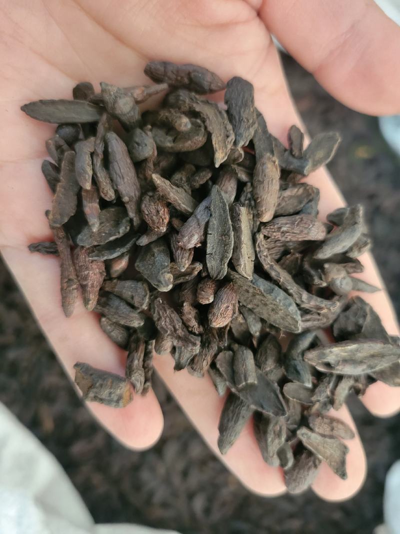 炒香附醋香附香附片多种规格大货供应七彩百草中药材