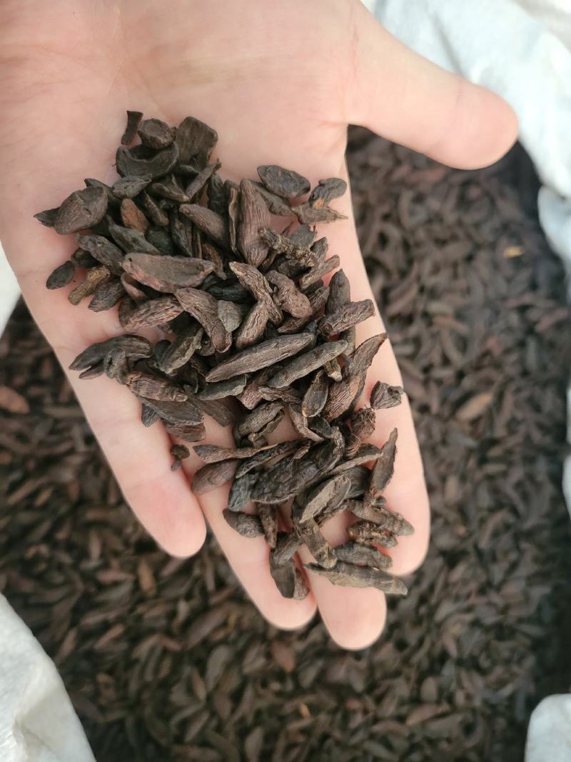 炒香附醋香附香附片多种规格大货供应七彩百草中药材